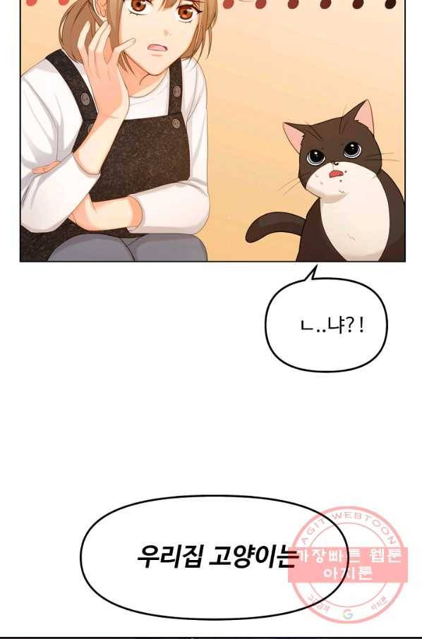 우리집 고양이는 베지테리언 우리집 고양이는 베지테리언이라고 66