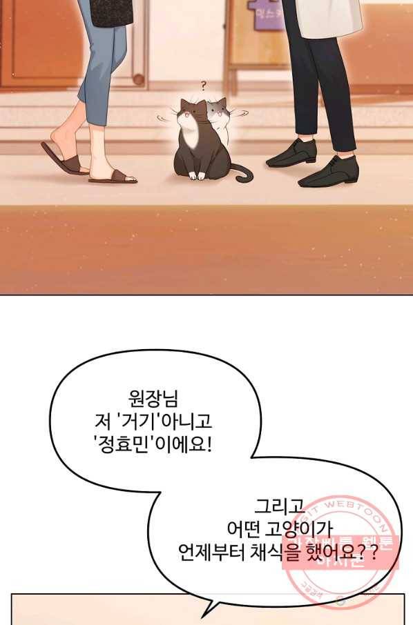 우리집 고양이는 베지테리언 우리집 고양이는 베지테리언이라고 69