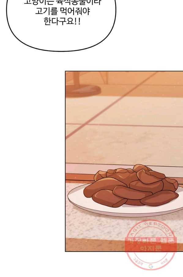 우리집 고양이는 베지테리언 우리집 고양이는 베지테리언이라고 71