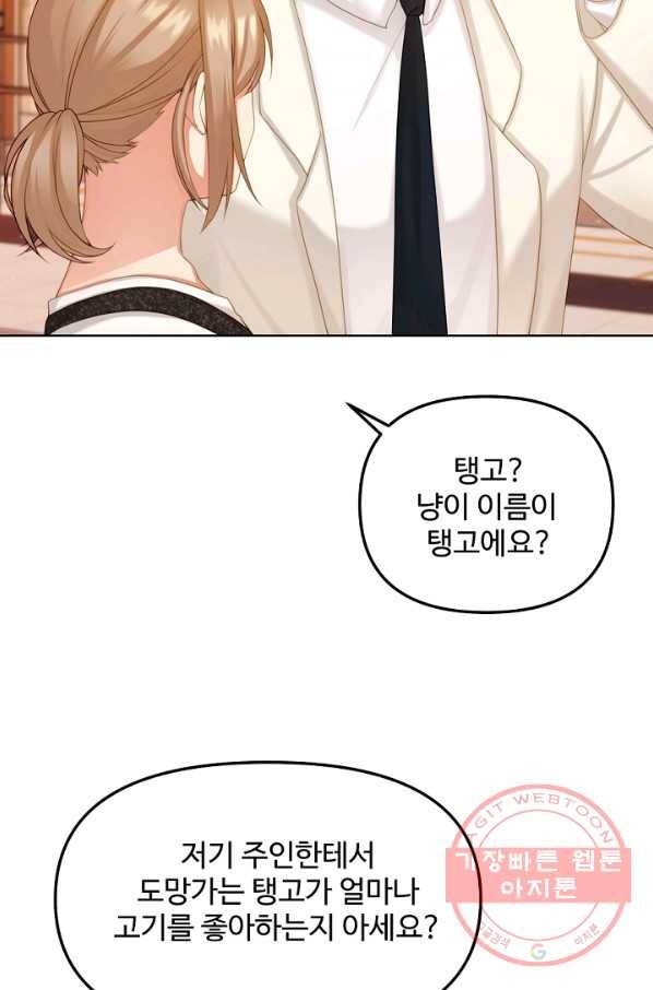 우리집 고양이는 베지테리언 우리집 고양이는 베지테리언이라고 73