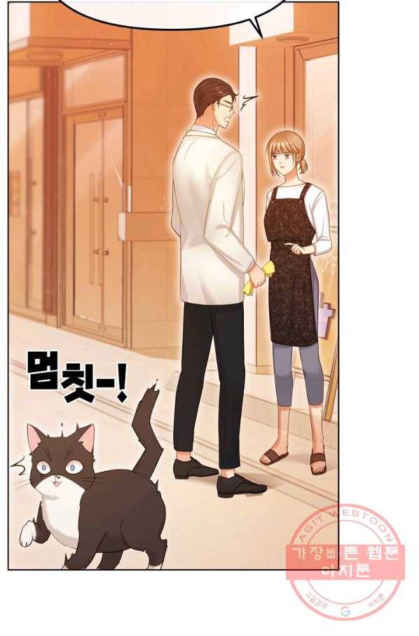 우리집 고양이는 베지테리언 우리집 고양이는 베지테리언이라고 74