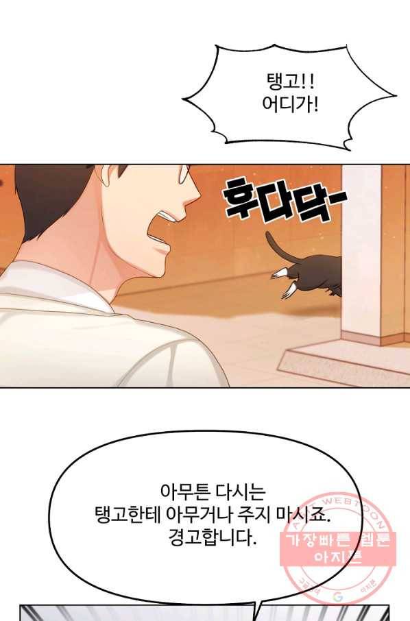 우리집 고양이는 베지테리언 우리집 고양이는 베지테리언이라고 75