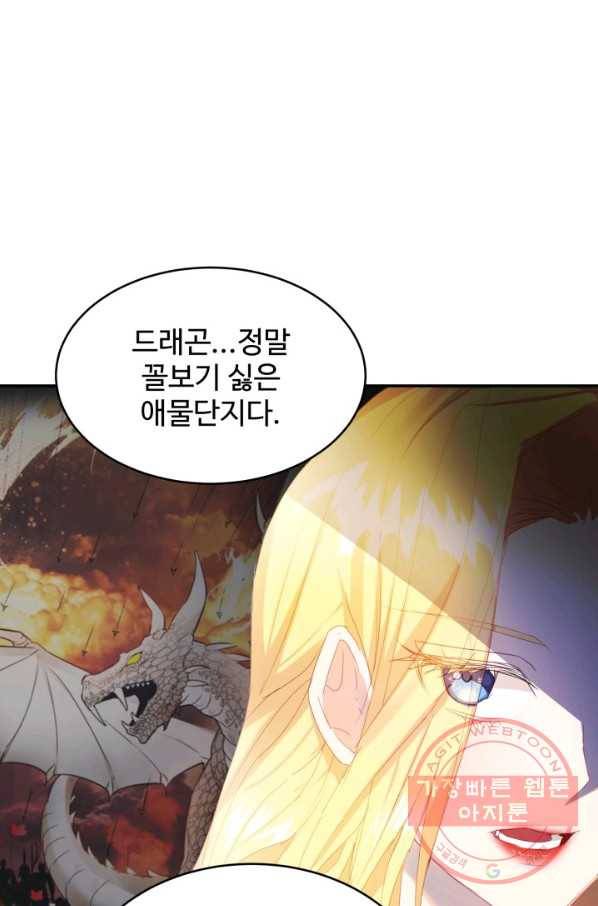 베이비 드래곤 25화 47