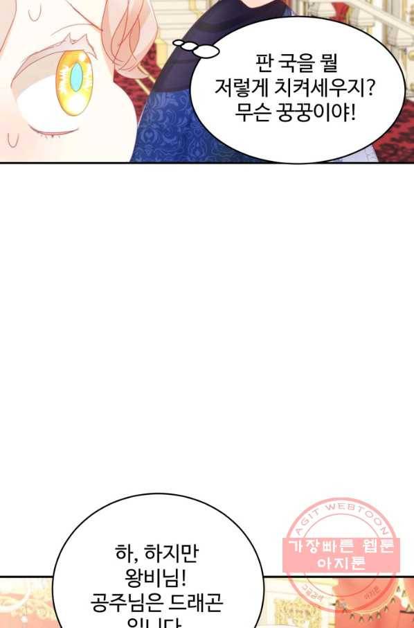 베이비 드래곤 25화 62