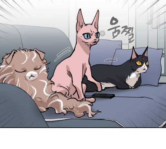 집사레인저 85화 44