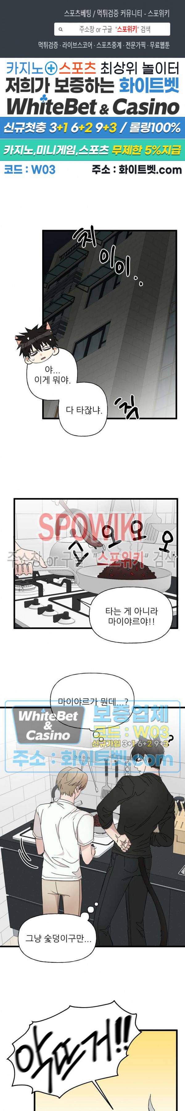 행운은 고양이로부터 15화 1