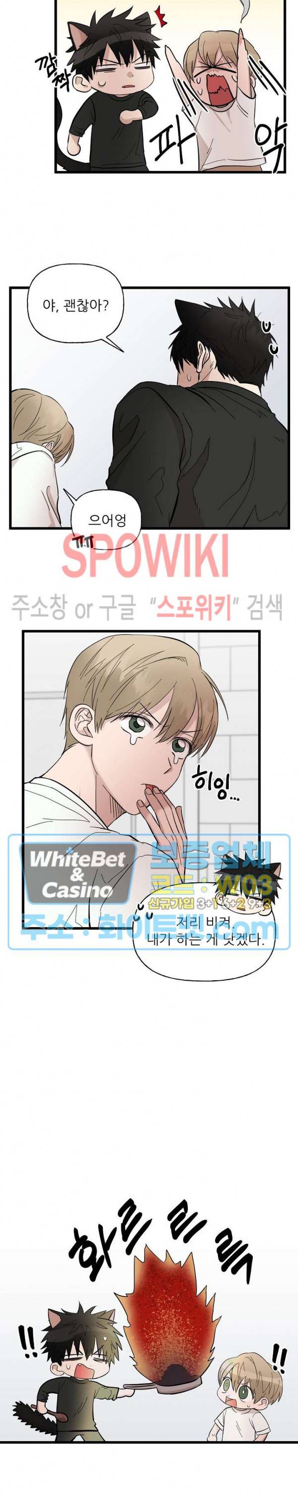 행운은 고양이로부터 15화 2