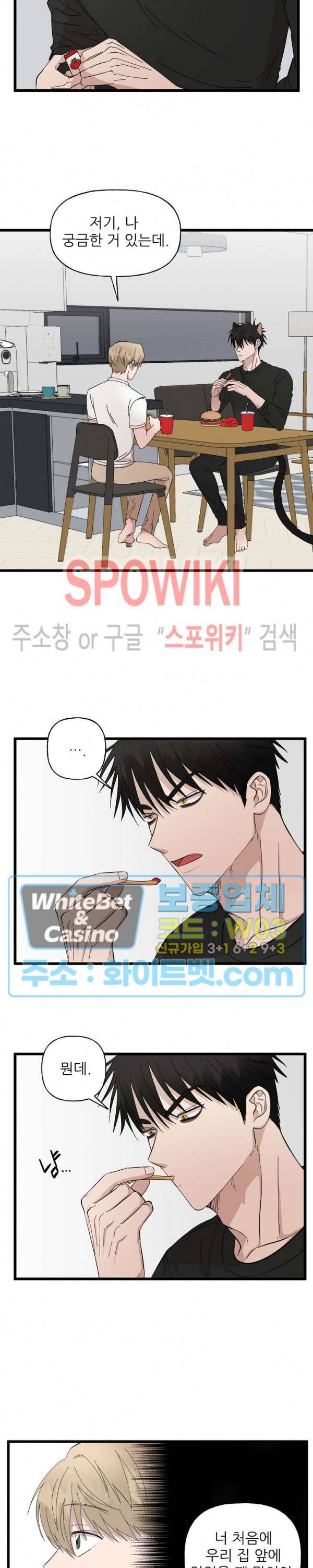 행운은 고양이로부터 15화 4