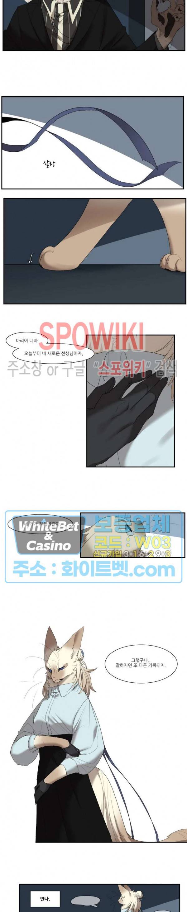 고양이 아가씨와 경호원들 241화 3