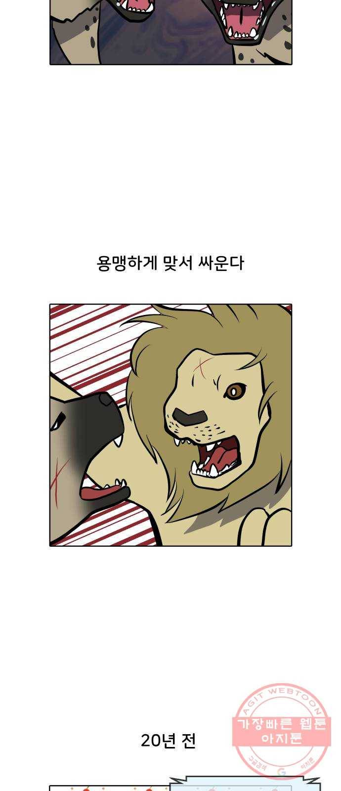 닥터앤닥터 육아일기 233. 에에에에필로그 핏불 3