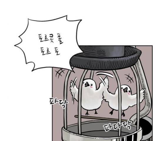 마법사랑해 19화 5