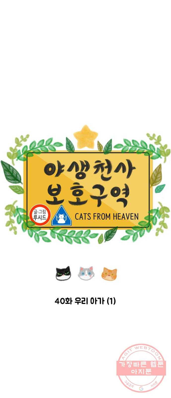 야생천사 보호구역 40화 우리 아가 (1) 4
