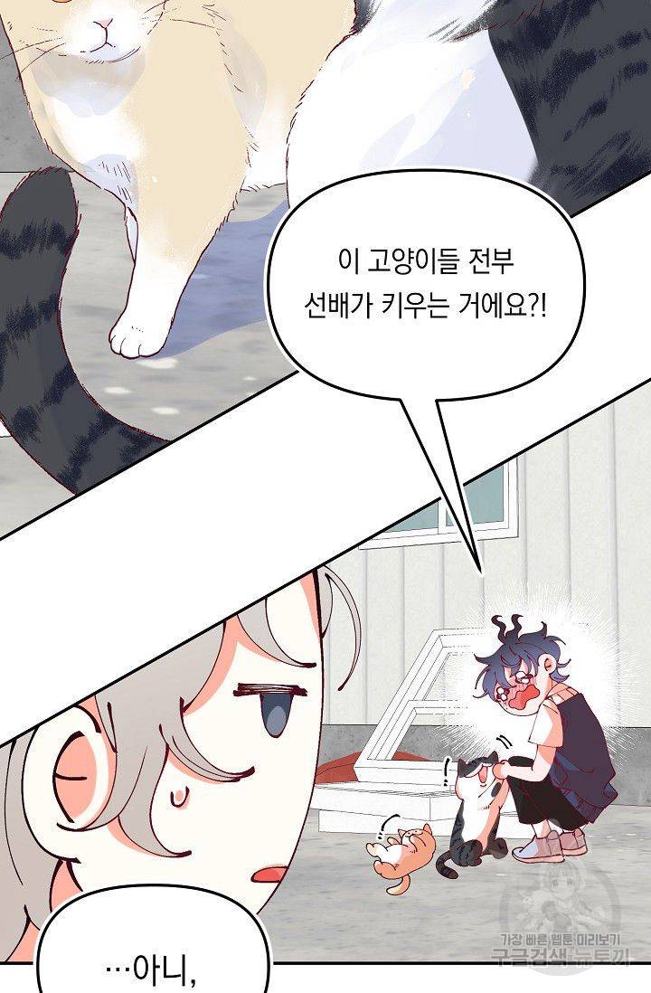 이 소설이 끝나기 전에 19화 60