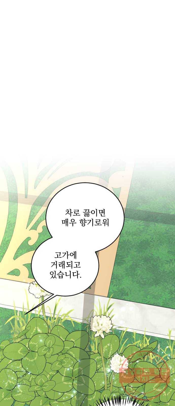 전설의 화석 31화 38