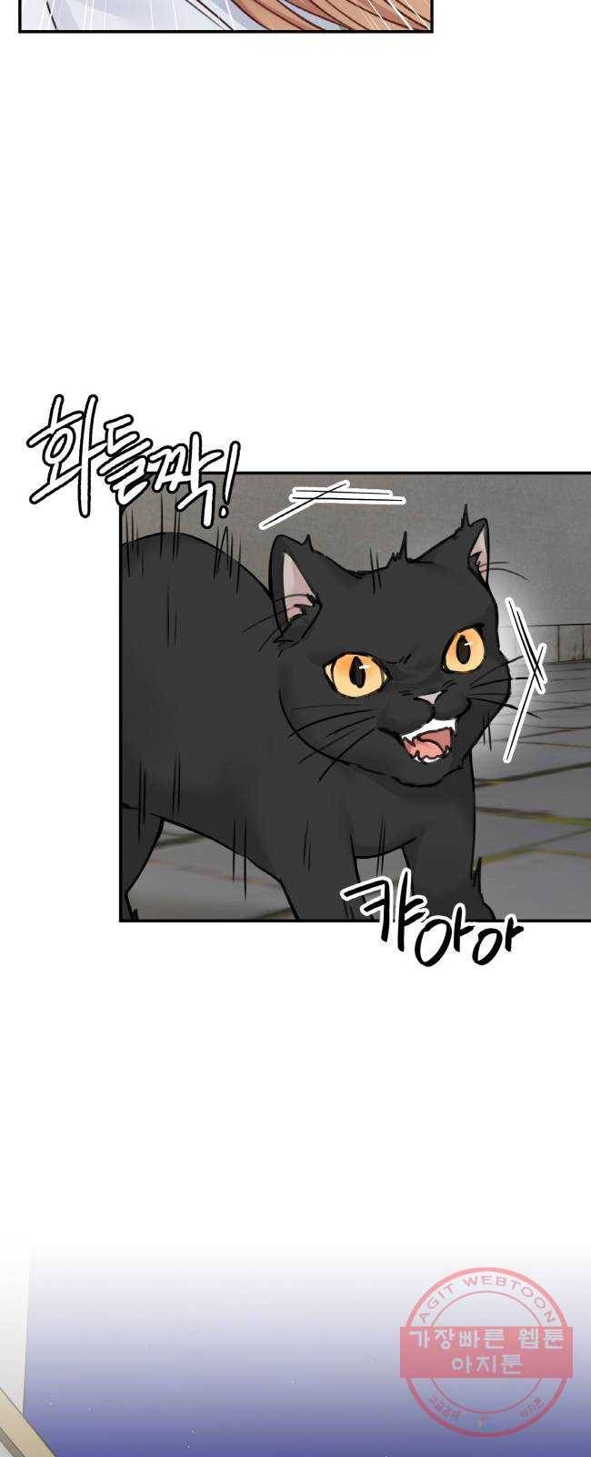 마녀와 용의 신혼일기 55화 41