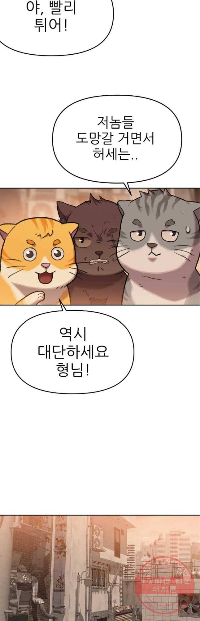 무지개다리 파수꾼 42화 25