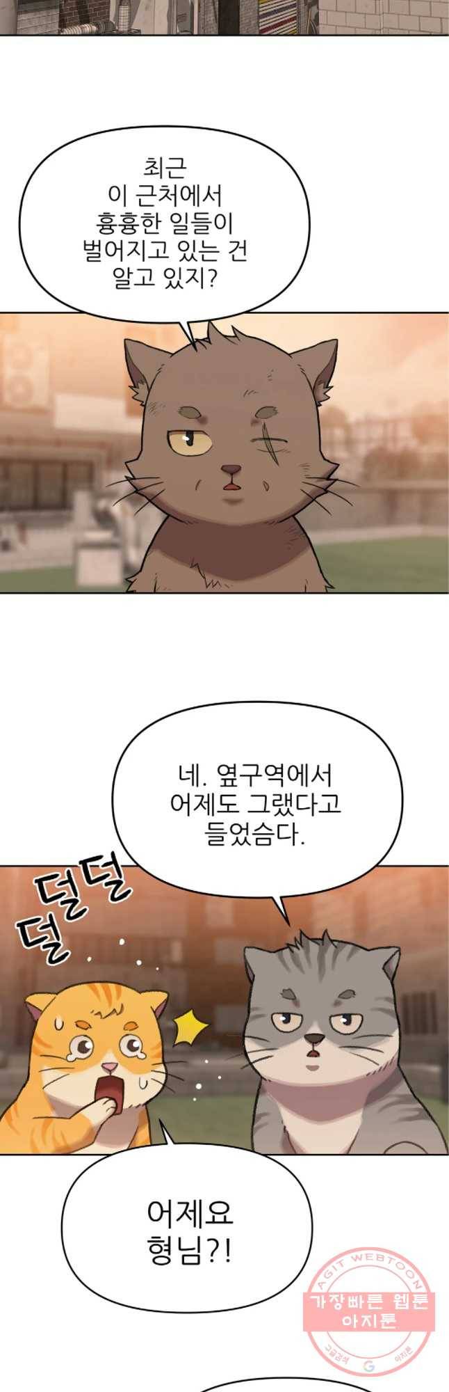무지개다리 파수꾼 42화 26