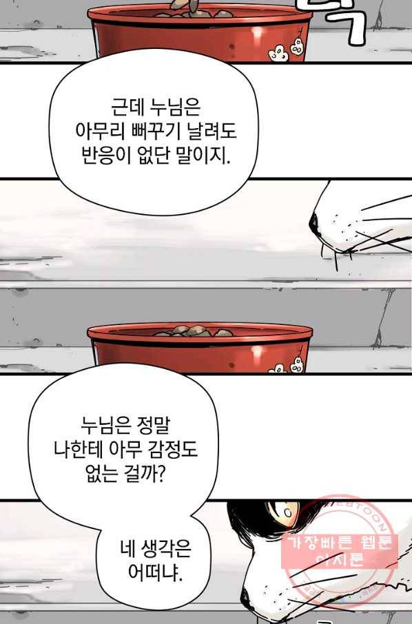 삼장전 41화 2