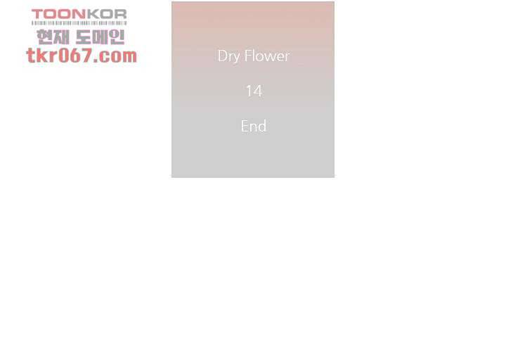 드라이 플라워 (Dry flower) 14화 46