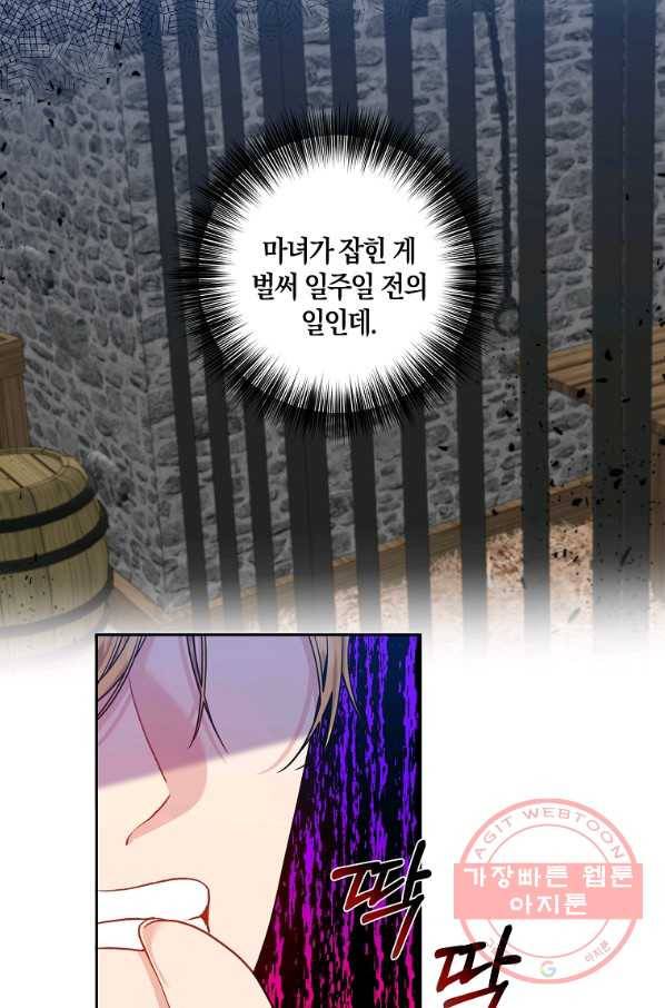 폭군의 가정교사가 되겠습니다 56화 12