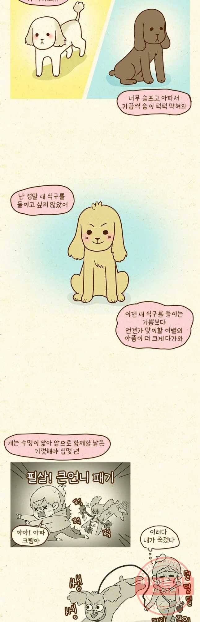 반지하셋방 254화 수상한 세 자매 3
