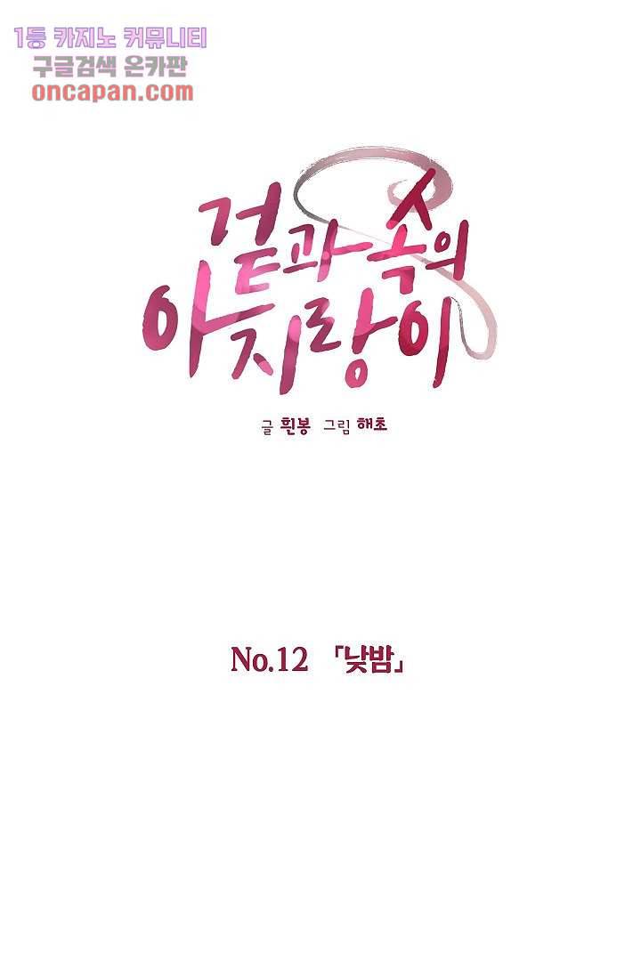 겉과 속의 아지랑이 12화 17