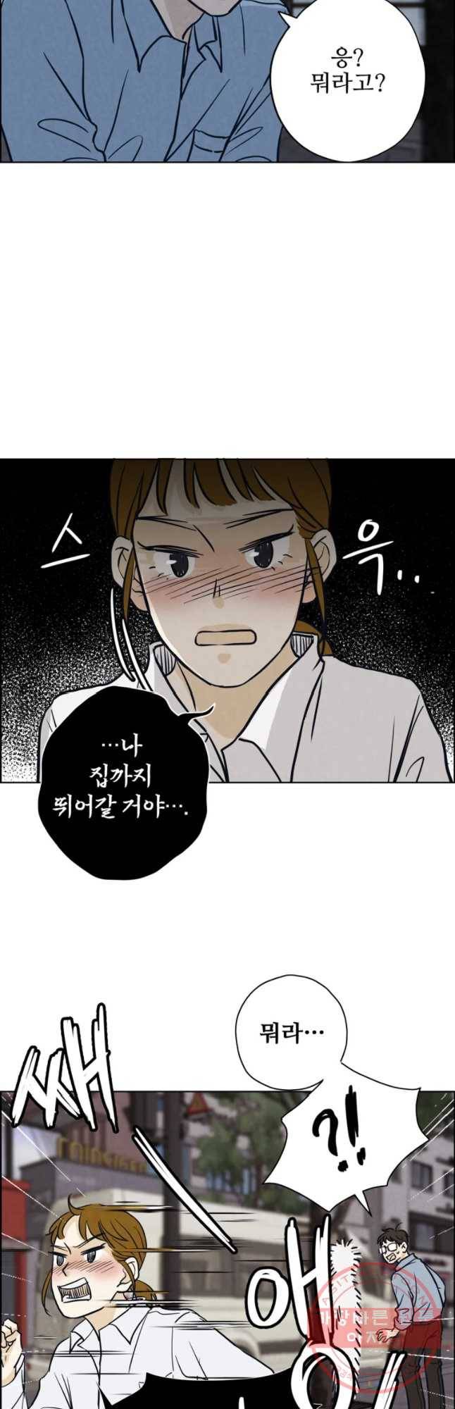 신랑이 사라졌다 46화 검은 그림자 14