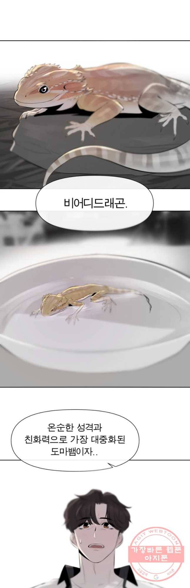 케어시트 14화 실마리 14