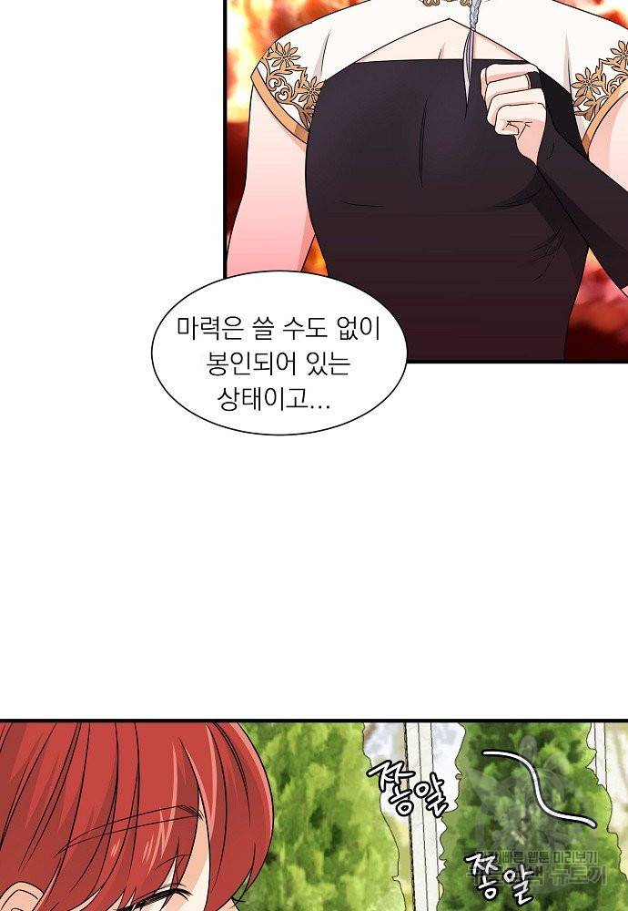 어쩌다 보니 왕자님을 키워버렸어요 17화 30