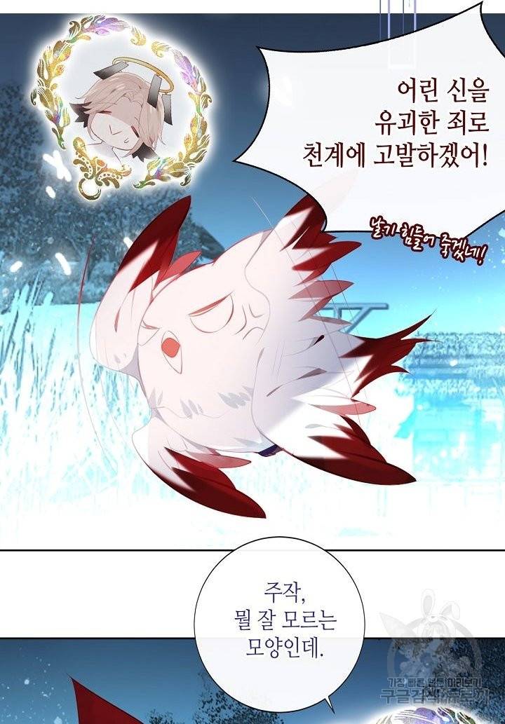 태자비는 미소년 게임이 하고 싶다 126화 55