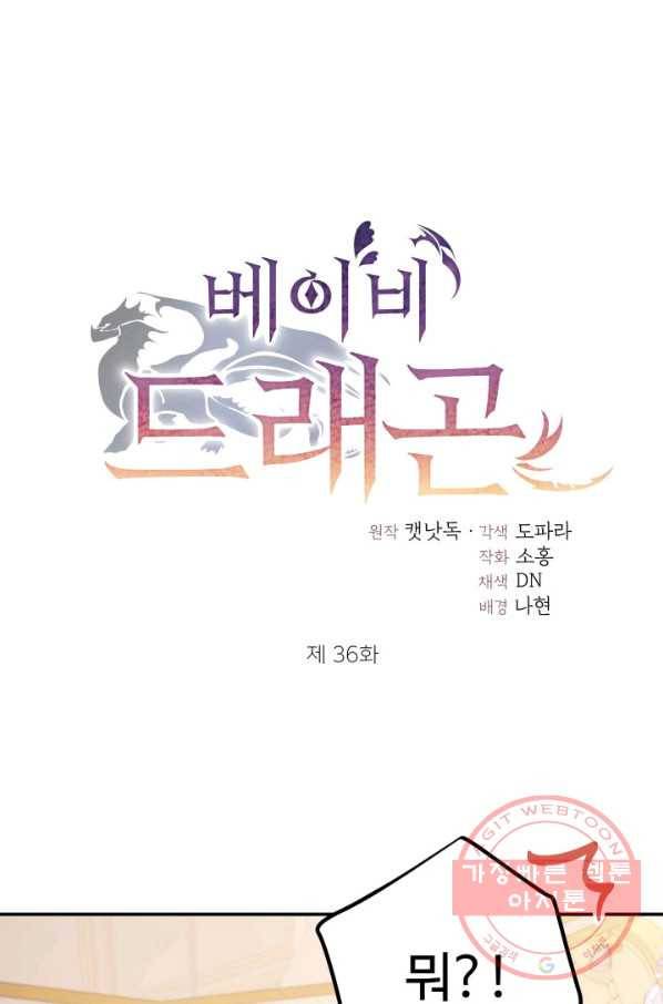 베이비 드래곤 36화 1