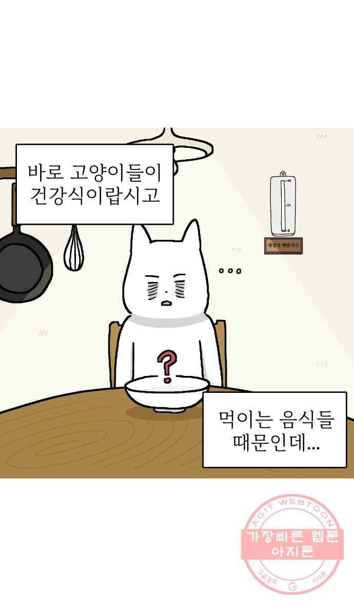 애옹식당 5화 또 건강식?! 5