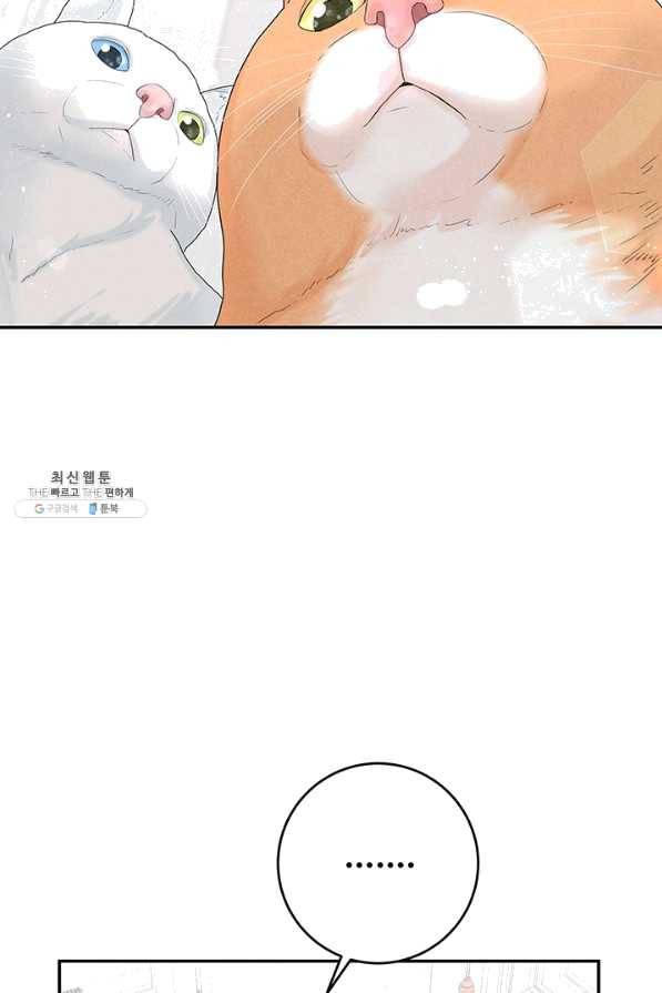 아내를 구하는 4가지 방법 39화 35