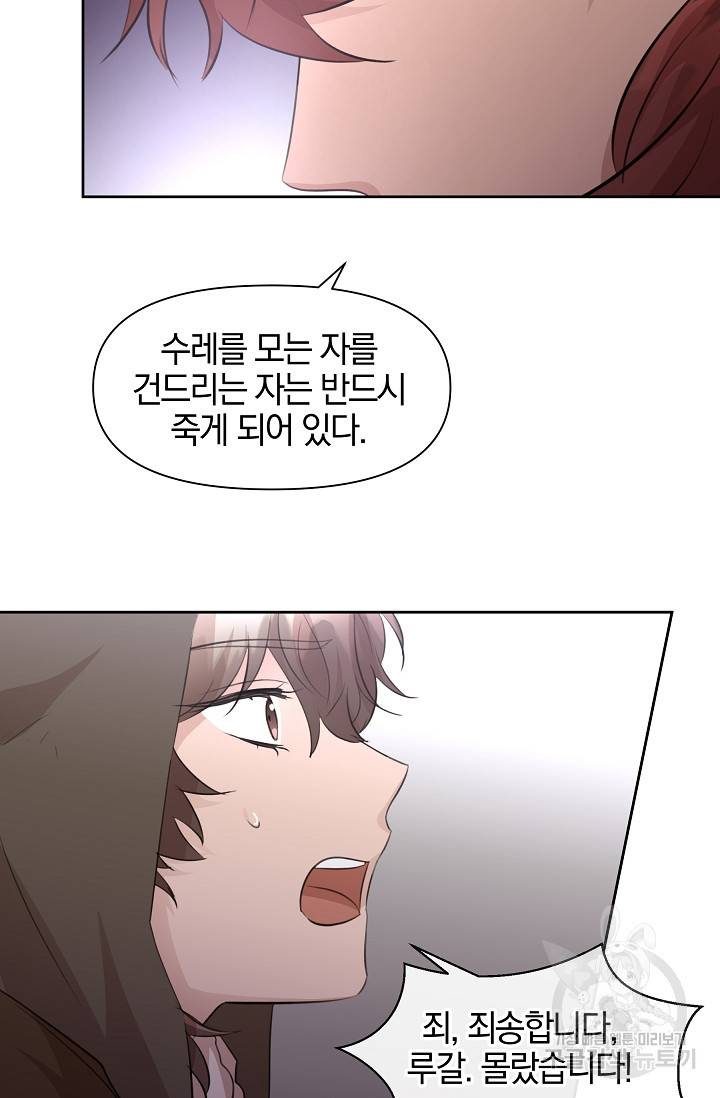 황금숲 47화 29