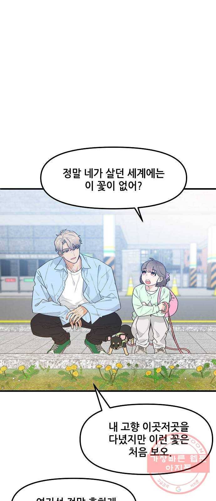 기사님을 지켜줘 35화 64