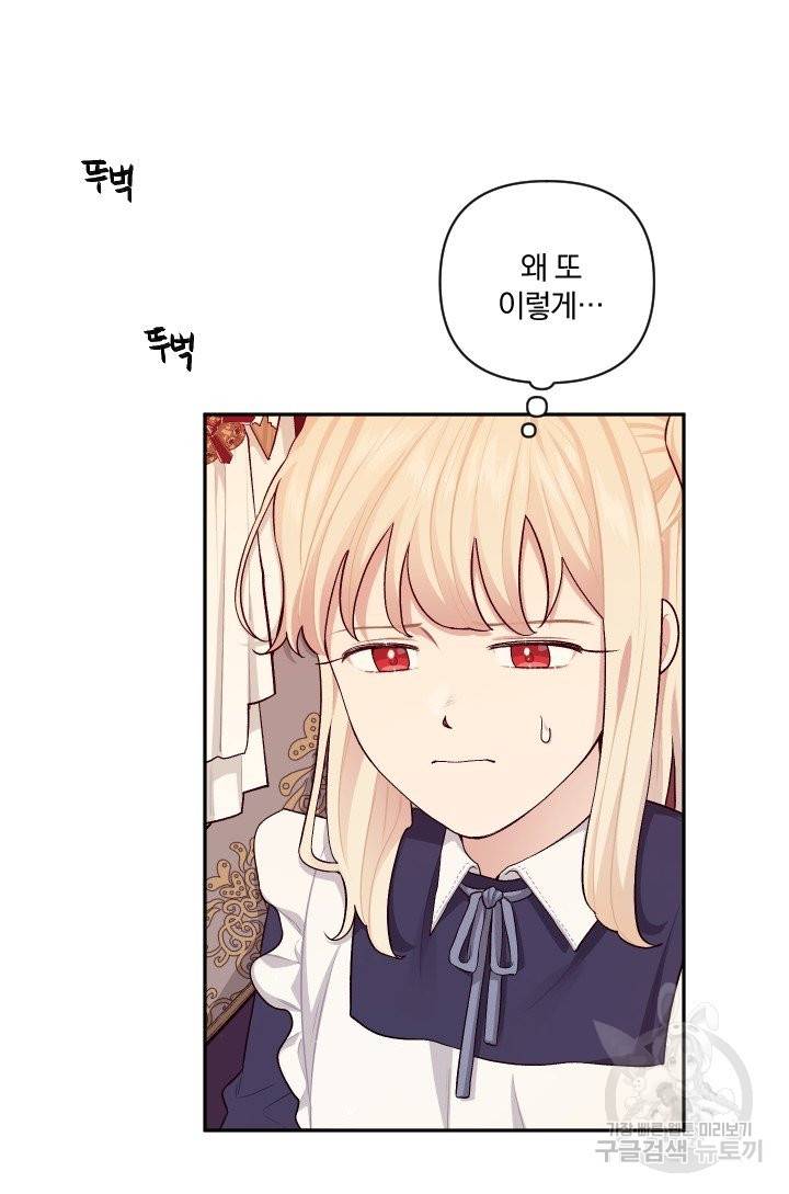TL 소설 속 시녀가 되었습니다 60화 3