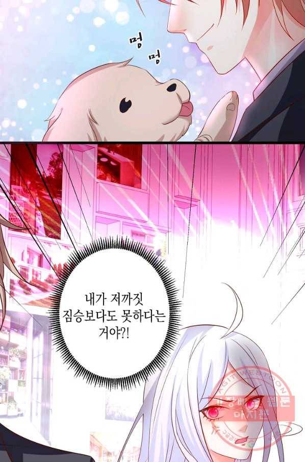 이 조폭은 귀여워 146화 13
