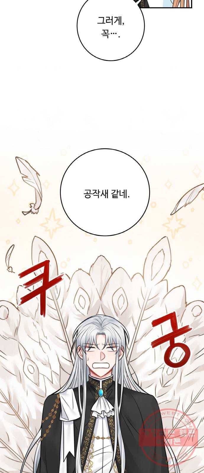 마녀와 용의 신혼일기 62화 13