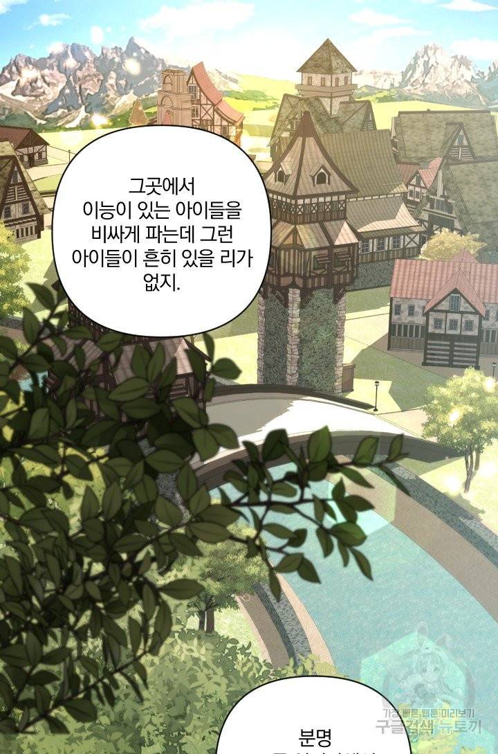 TL 소설 속 시녀가 되었습니다 61화 56