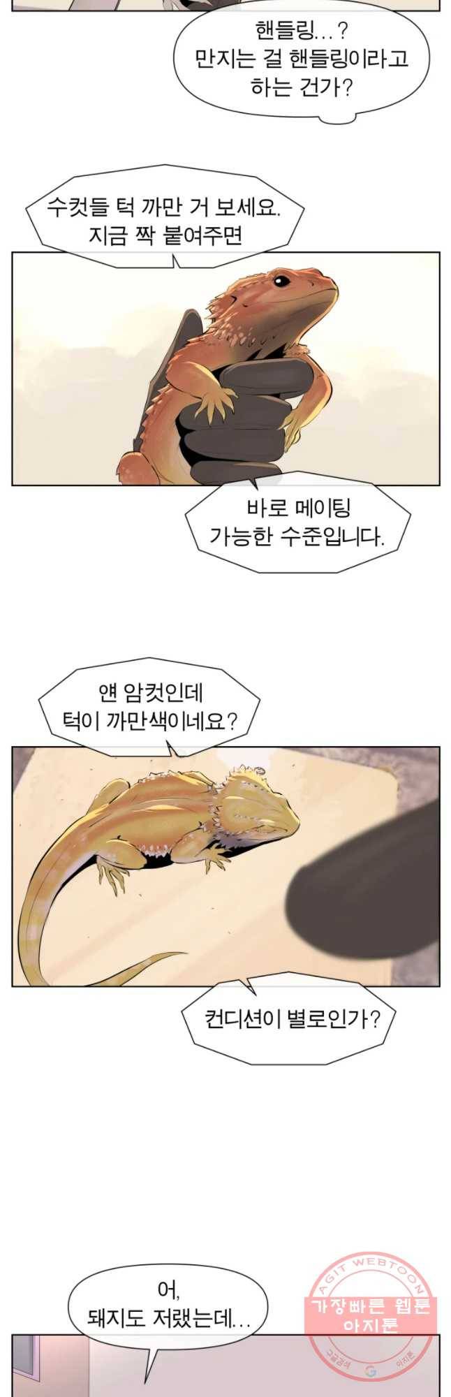 케어시트 20화 핸들림 18