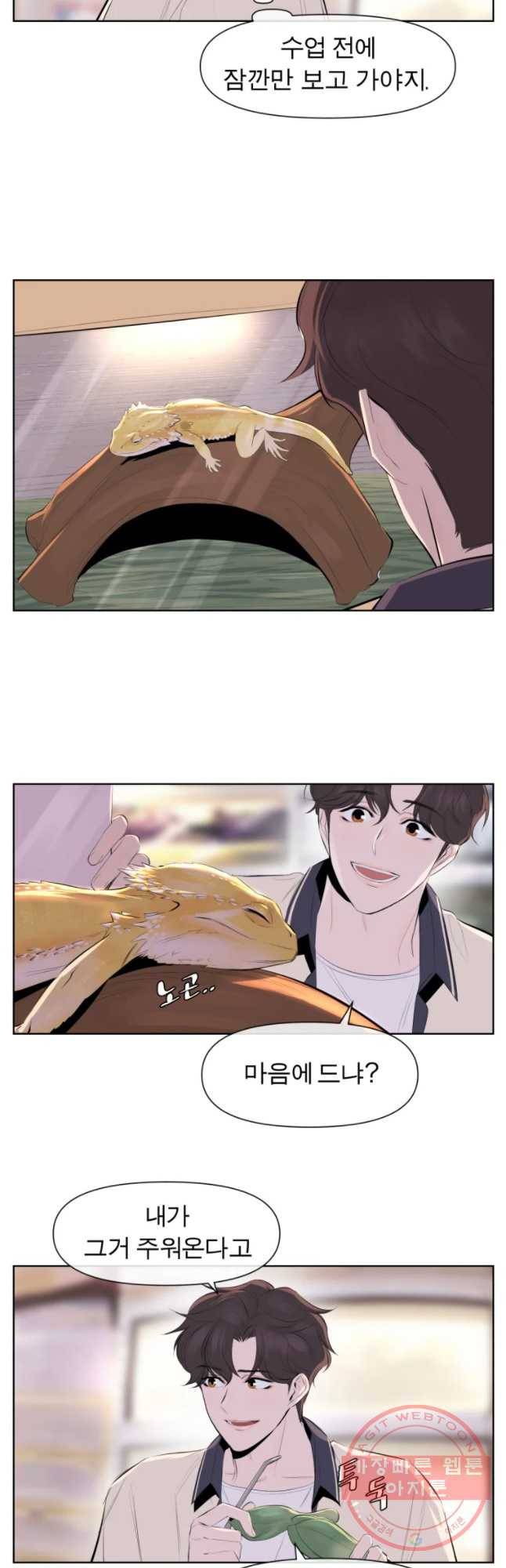 케어시트 20화 핸들림 21