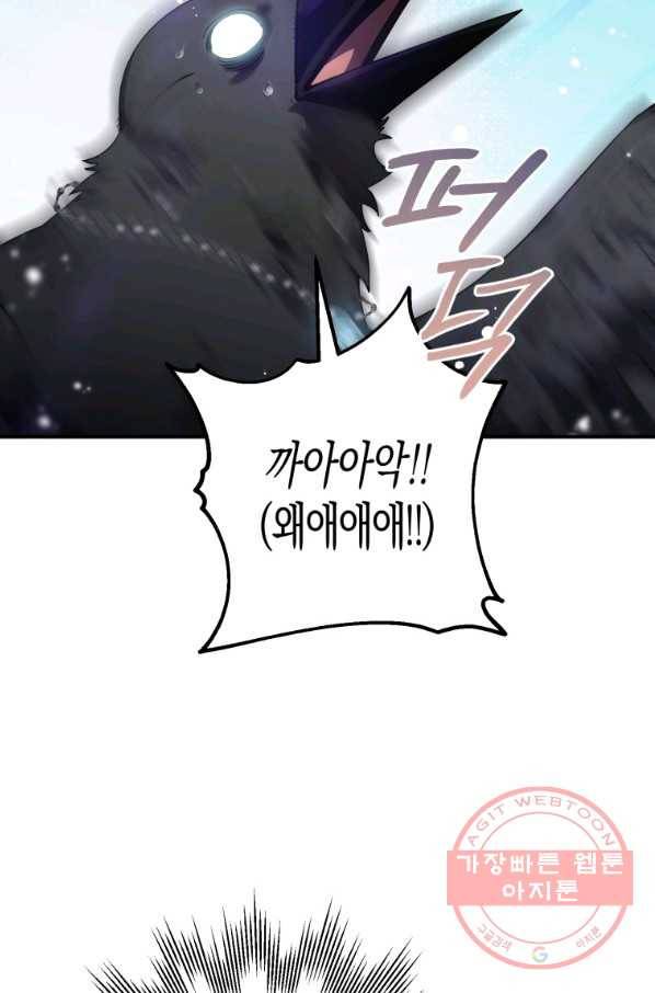 하필이면 까마귀가 되어버렸다 13화 2