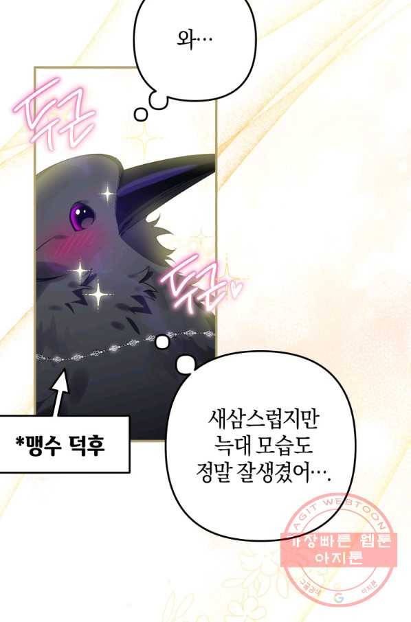 하필이면 까마귀가 되어버렸다 13화 13
