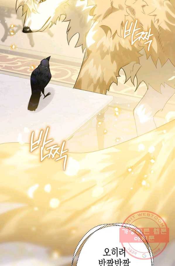 하필이면 까마귀가 되어버렸다 13화 15