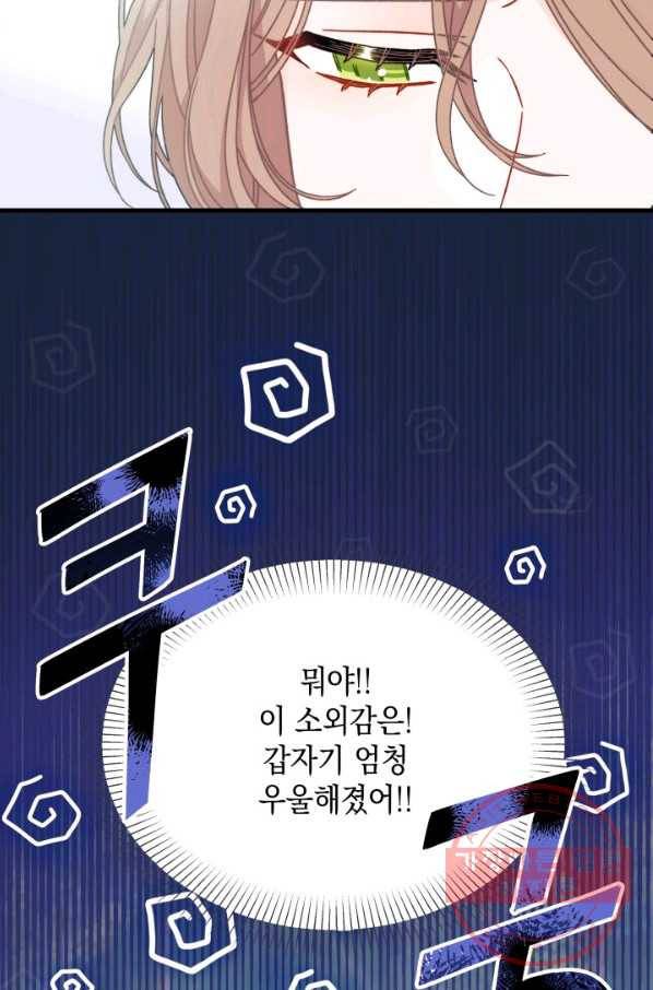 남주를 주웠더니 남편이 생겨버렸다 27화 67