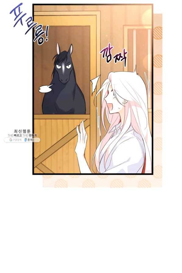 토끼와 흑표범의 공생관계 49화 13