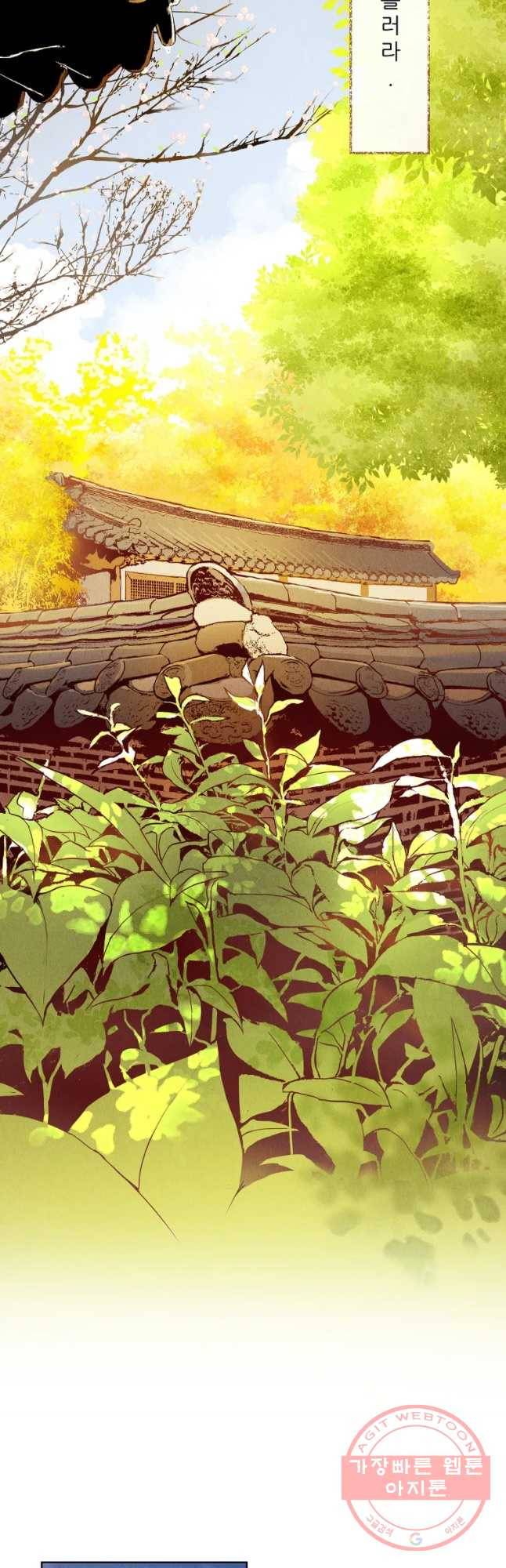 신의 태궁 그리고 48