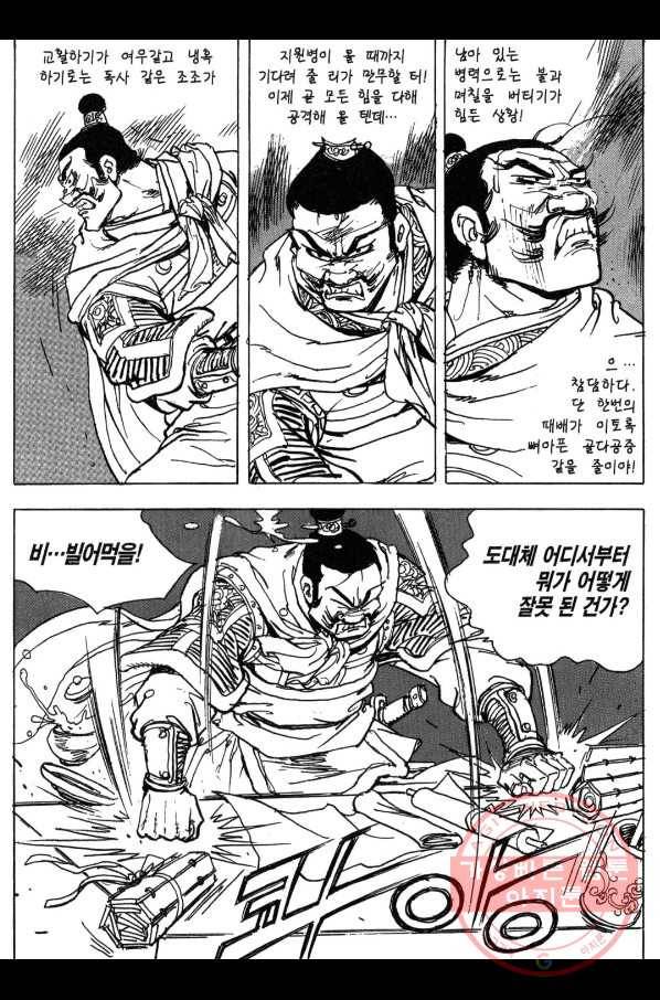 박봉성 삼국지 3부 8권 117