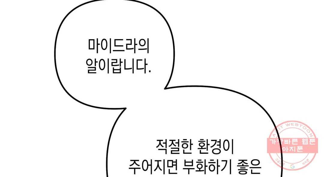 다크폴 15화 223