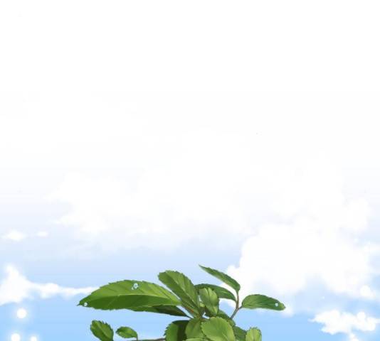 하렘의 남자들 70화 61